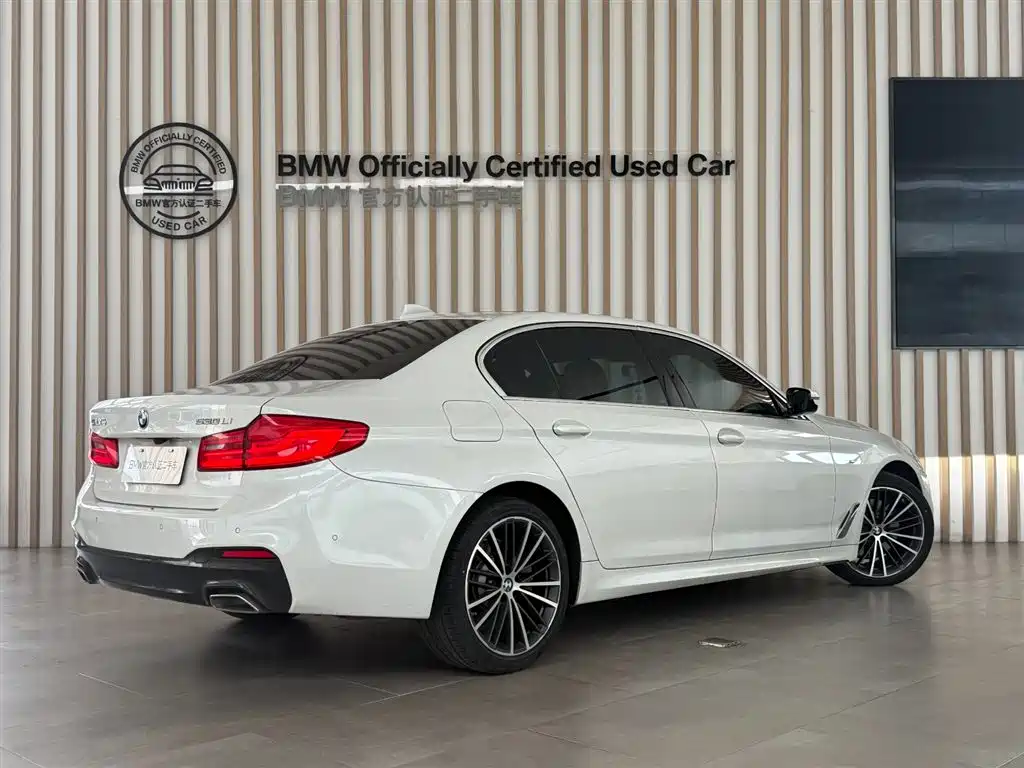 BMW 5 Series 2020 530Li Leading M Sport Package фото 4
