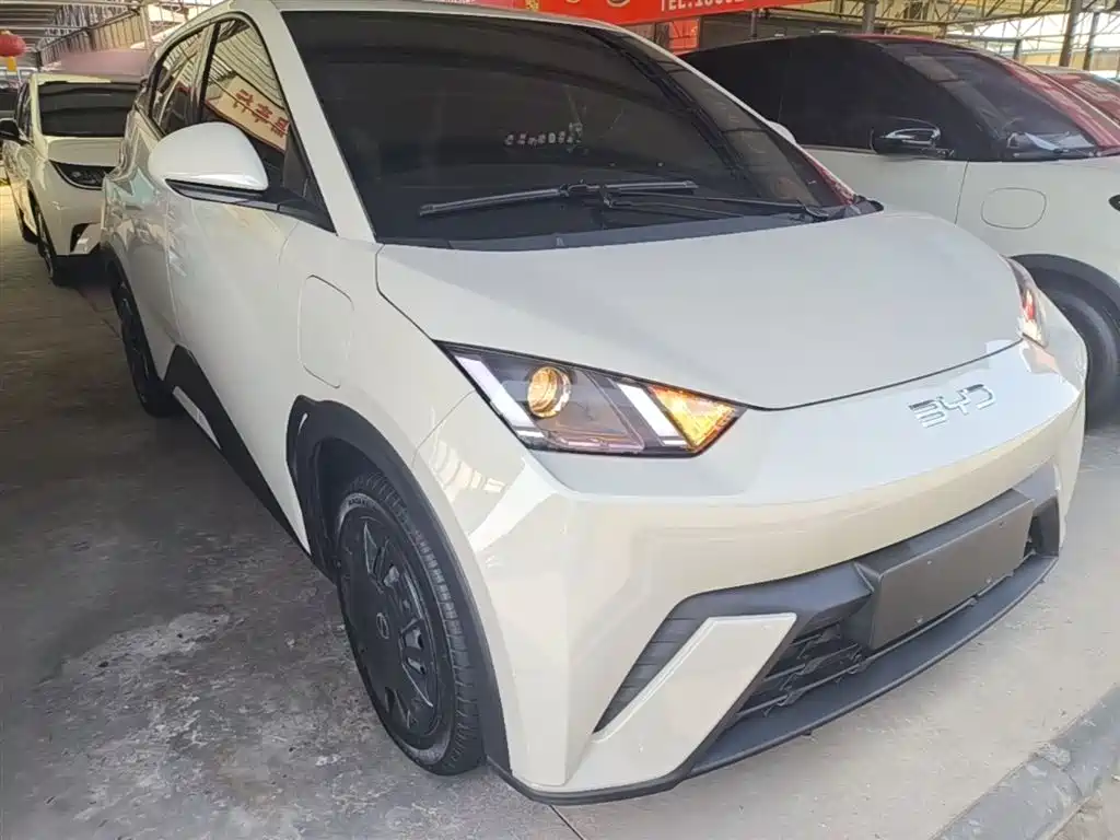BYD Seagull 2024 Glory Edition 305km Vitality Edition фото 4