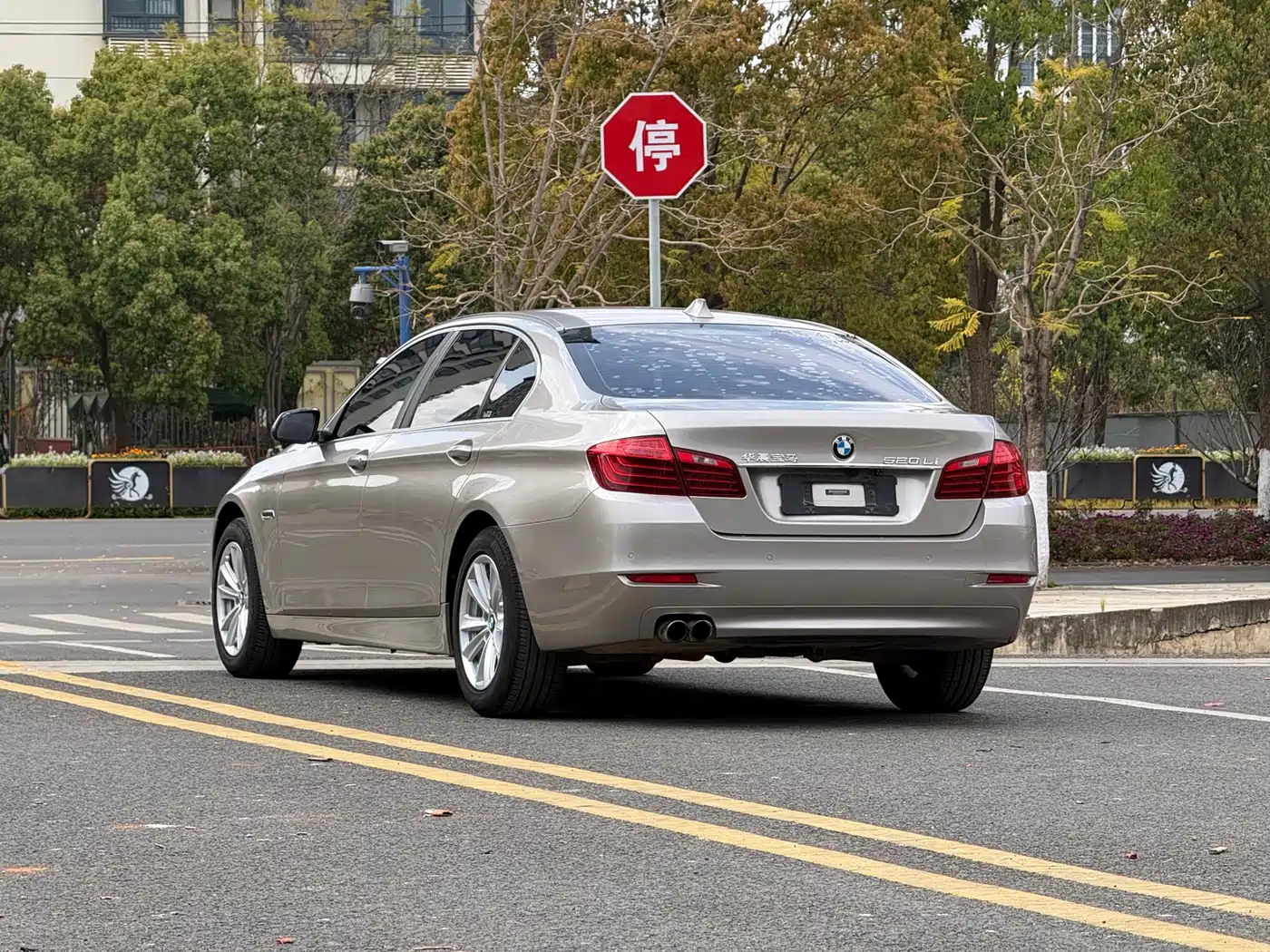 BMW 5 Series 2013 520Li Elegance фото 6
