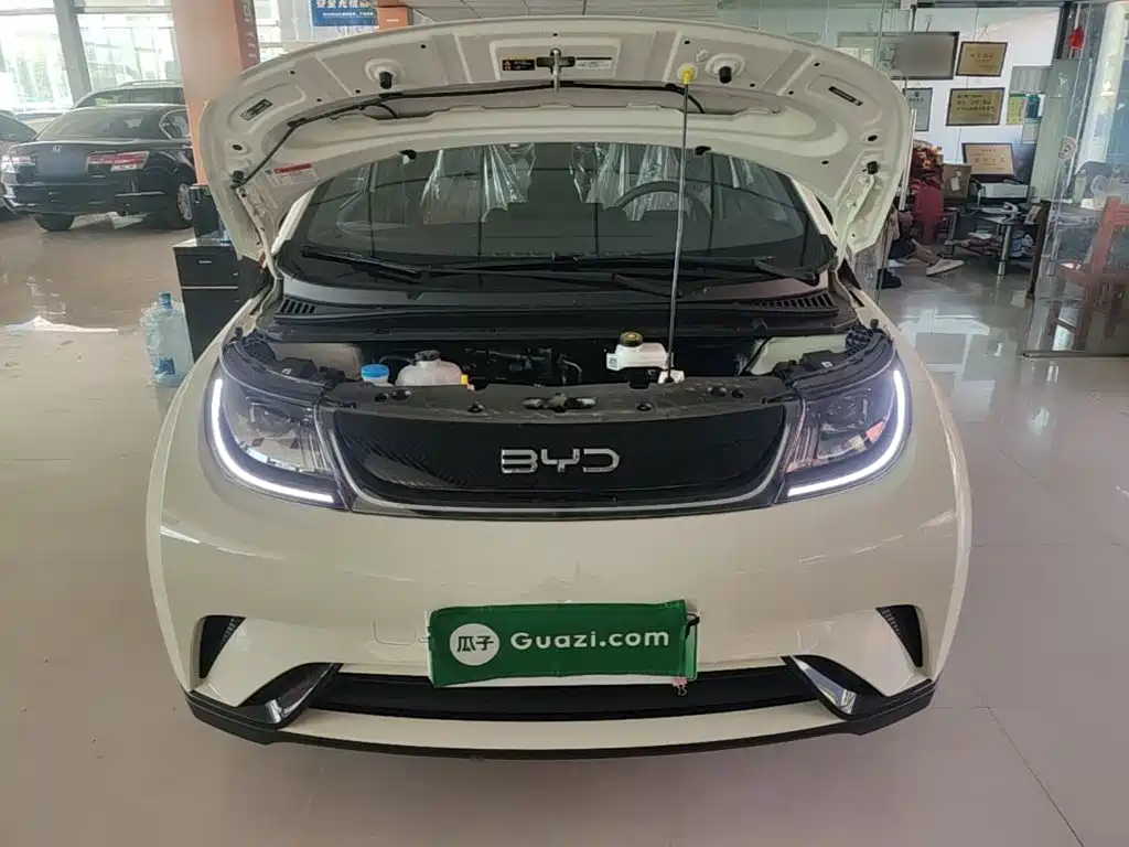 BYD Dolphin 2026 2025 420km Freedom Edition