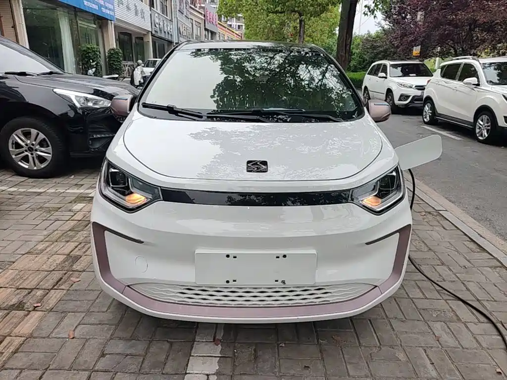 Sehol Flower Fairy 2022 2021 Jimei Edition 302km Luxury