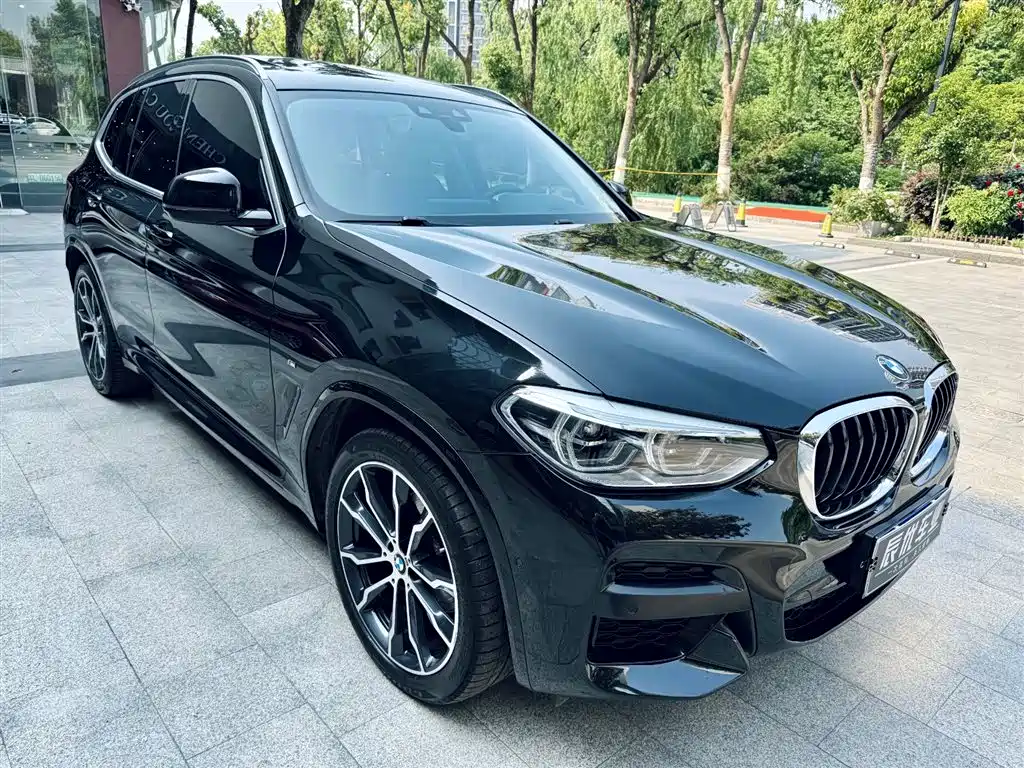 BMW X3 2020 xDrive30i Leading M Sport Package фото 3
