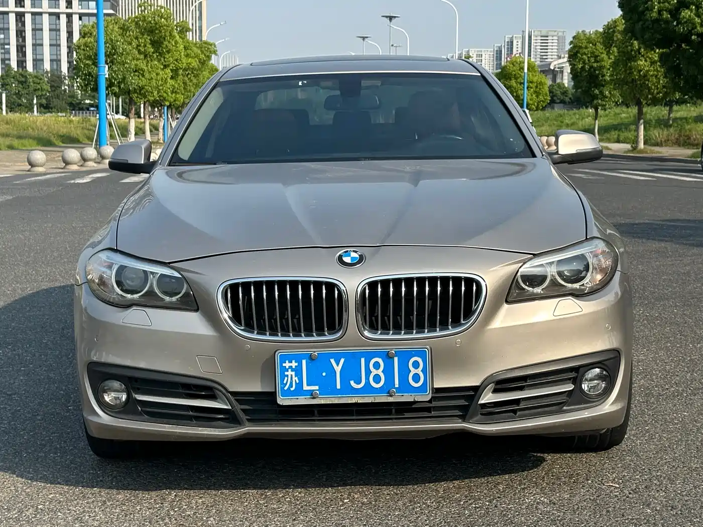 BMW 5 Series 2014 528Li Leading Edition фото 2