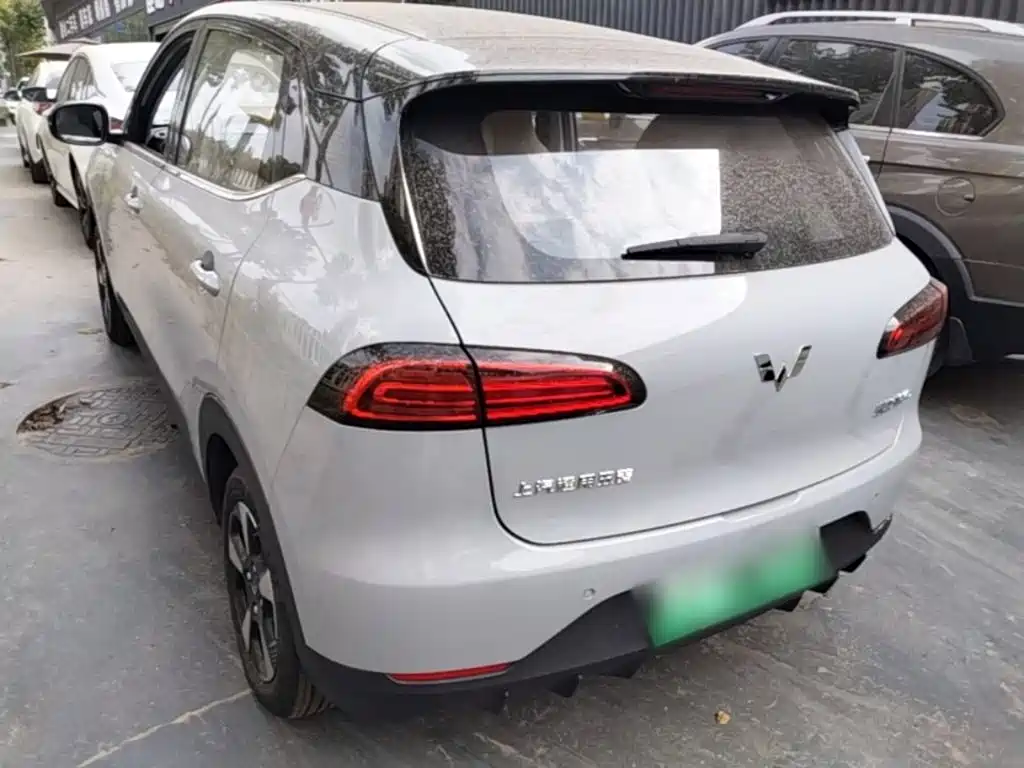 Wuling Motors Wuling Binguo PLUS 2026 2024 Model 330km 5-Seater