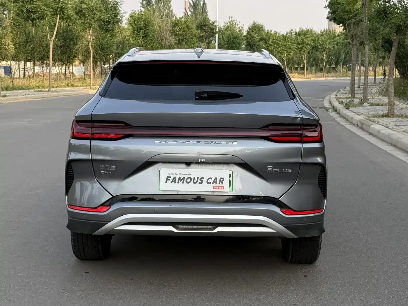BYD Song PLUS PHEV 2024 Glory Edition DM-i 110km Flagship PLUS фото 5