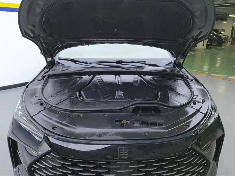 BYD Tang New Energy 2024 DM-i Honor Edition 112KM Premium фото 10