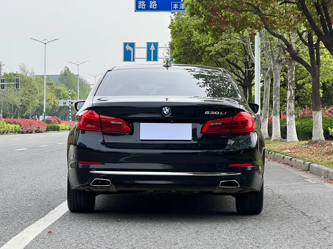 BMW 5 Series 2018 Facelift 530Li Exclusive Luxury Package фото 4