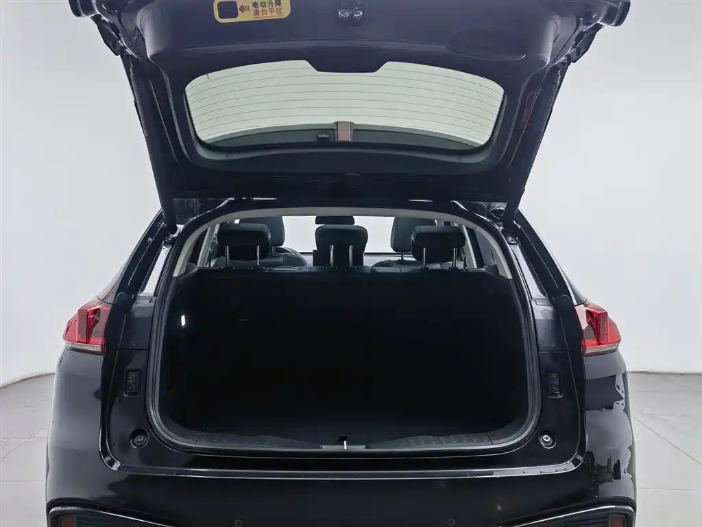 WEI PAI WEI BRAND VV5