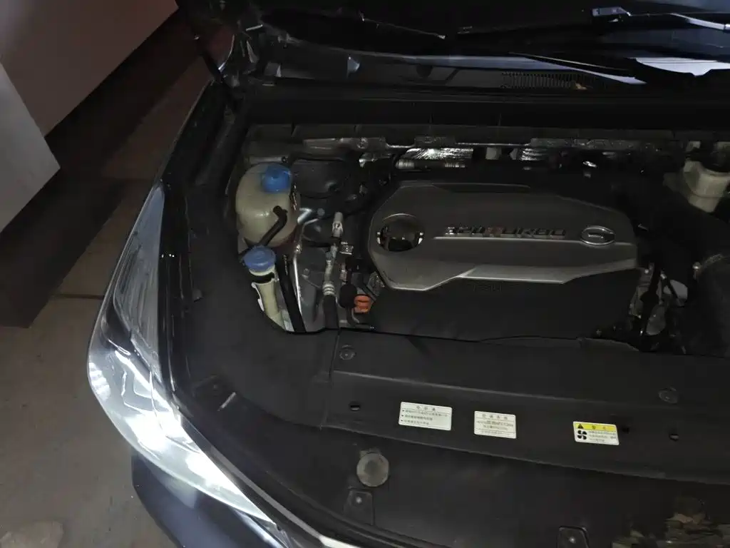 Фото 19 - GAC Trumpchi GS8