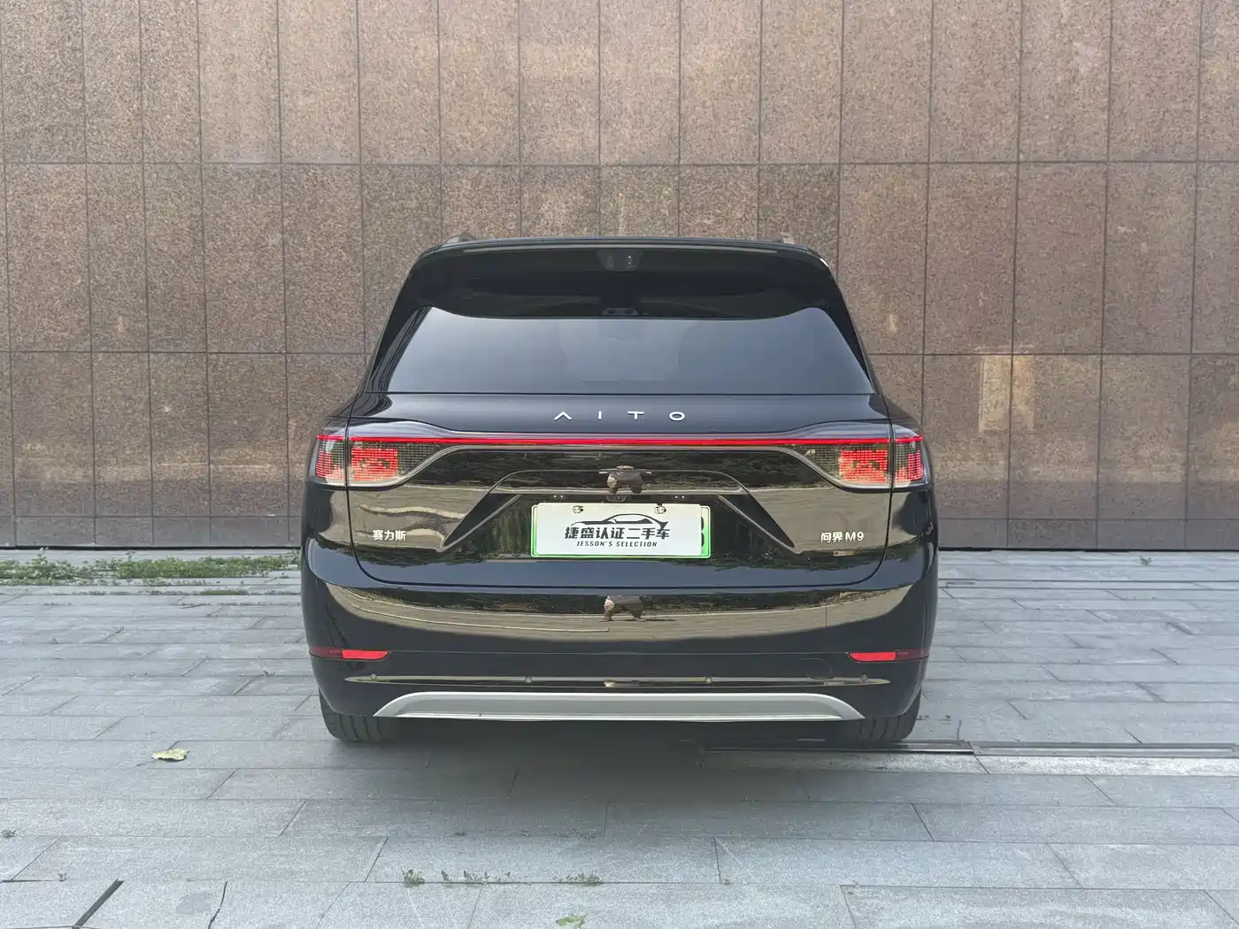 AITO Wenjie AITO M9 2024 Extended Range Ultra 42kWh 6-Seater фото 5