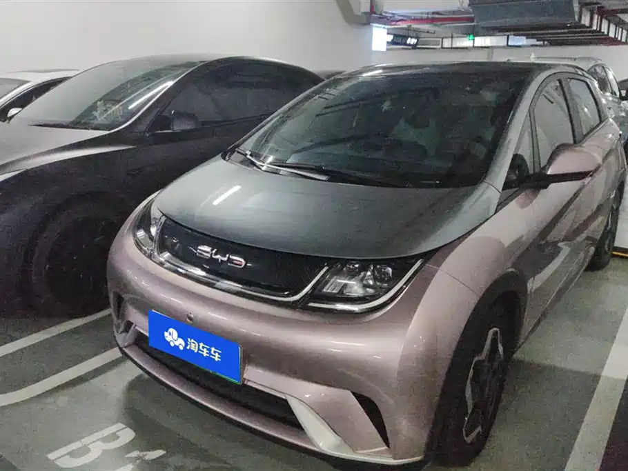 BYD Dolphin 2021 Model 405km Fashion Edition