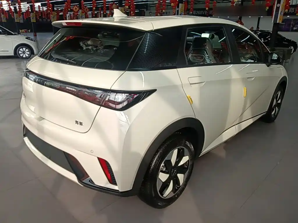 BYD Dolphin 2026 2025 420km Freedom Edition