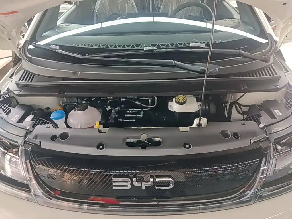 BYD Dolphin 2026 2025 420km Freedom Edition