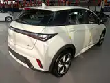 Фото 7 - BYD Dolphin