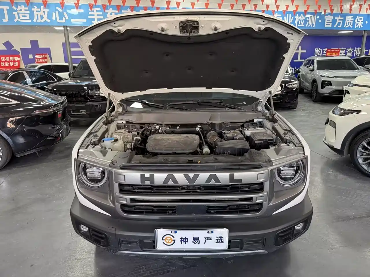 Haval Big Dog 2024 1.5T DCT Border Collie Edition фото 5