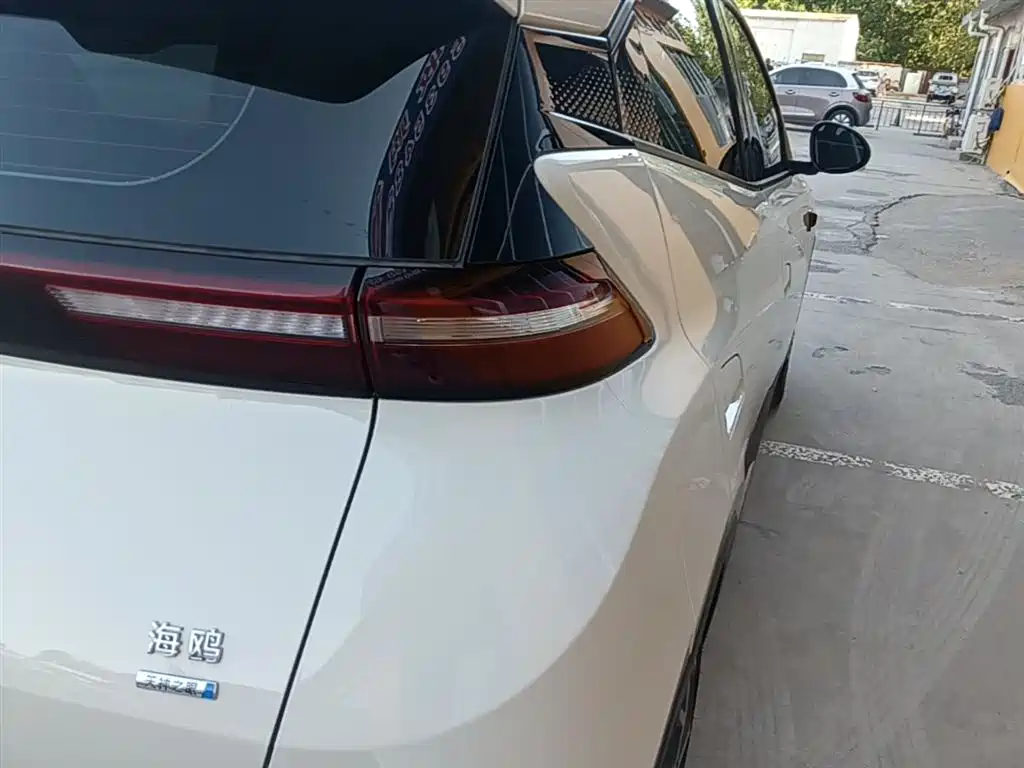 BYD Seagull 2025 Smart Drive Edition 305km Freedom Version фото 8