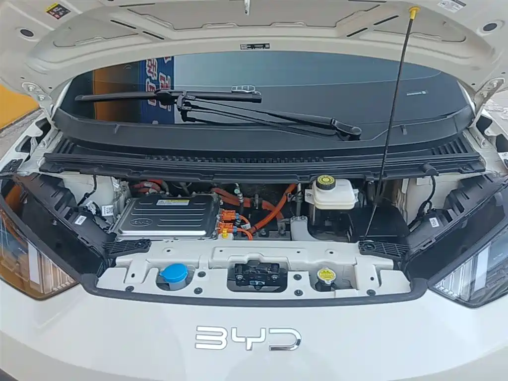 BYD Seagull 2025 Smart Drive Edition 305km Freedom Version фото 20
