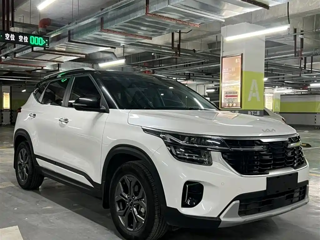 Kia Seltos 2023 1.5L CVT Luxury Edition фото 3