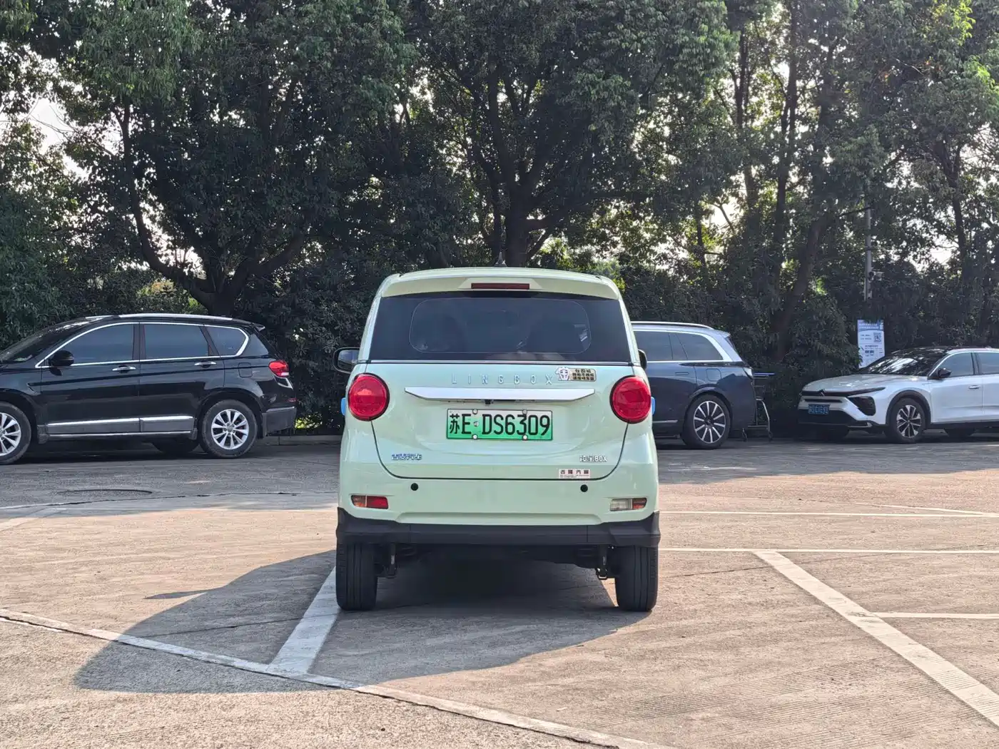 Lingbao Auto Lingbox BOX 2022 2022 Cai Wenji Edition