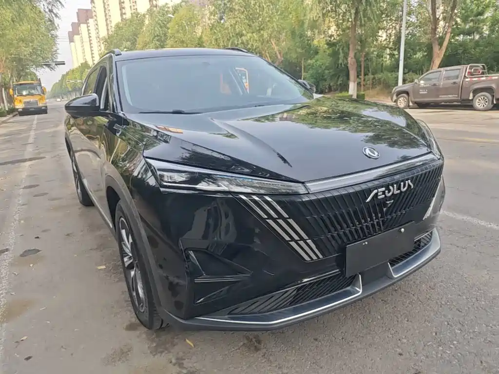2024 Dongfeng Aeolus Haohan