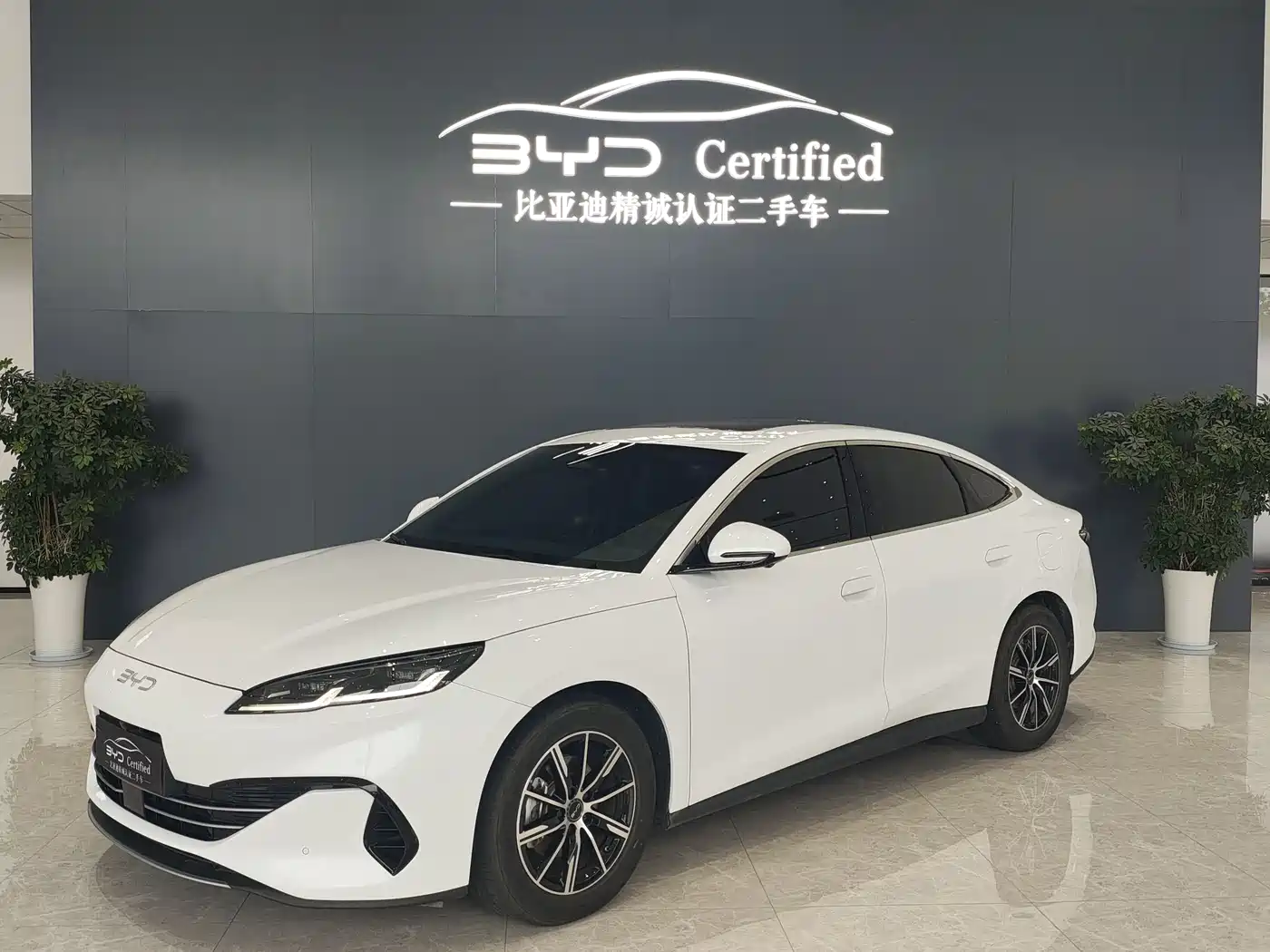 BYD Seal 06 New Energy 2024 DM-i 120KM Premium
