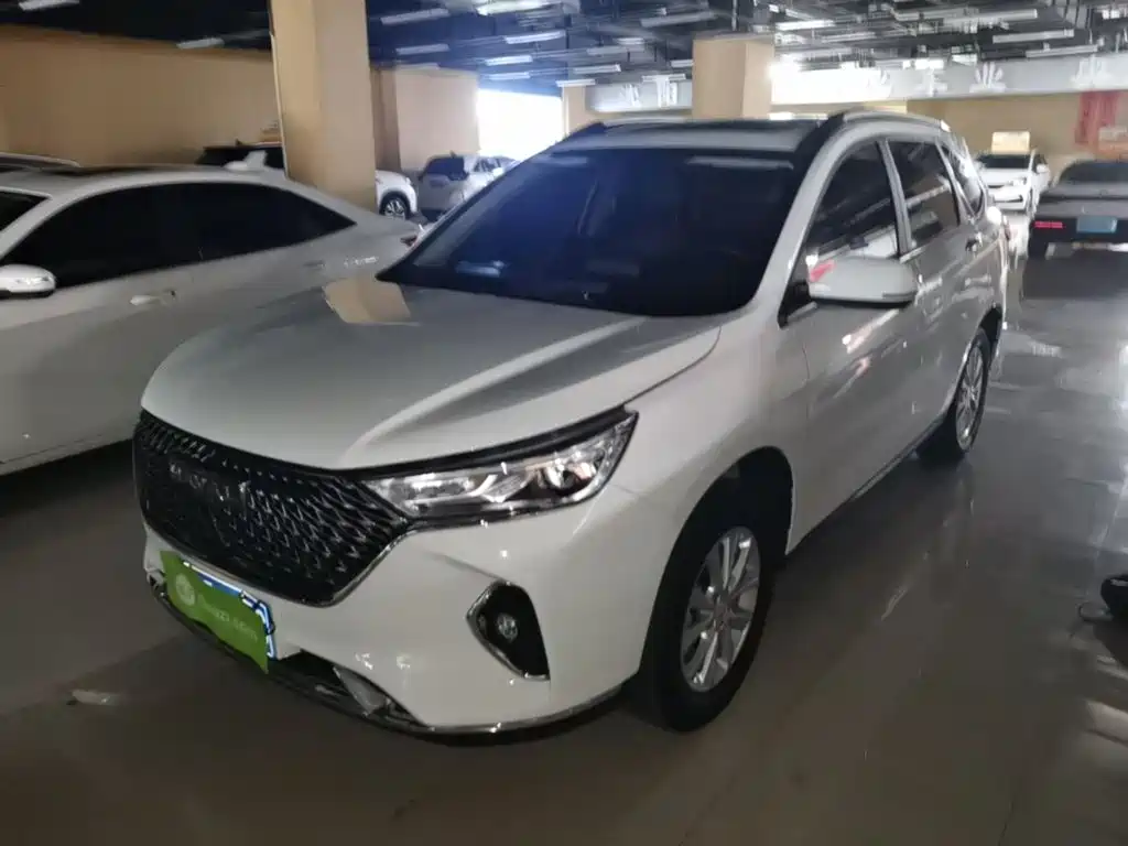 Haval M6 2024 2023 PLUS 1.5T DCT Luxury Smart Connect
