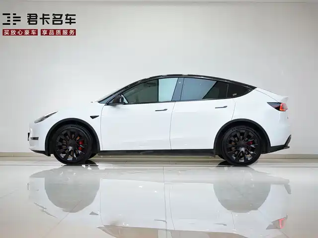 Tesla Model Y 2021 Standard Range Rear-Wheel Drive — фото 5