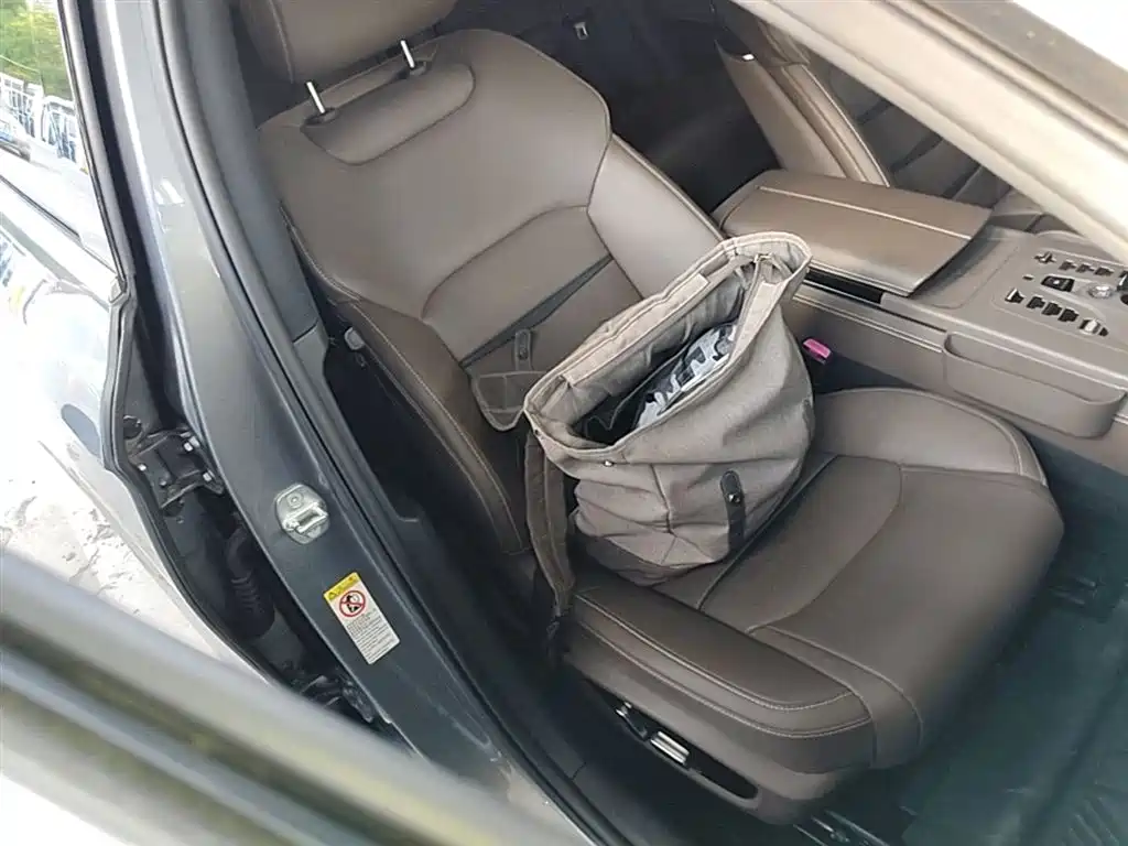 BYD Han 2021 EV Standard Range Luxury фото 25