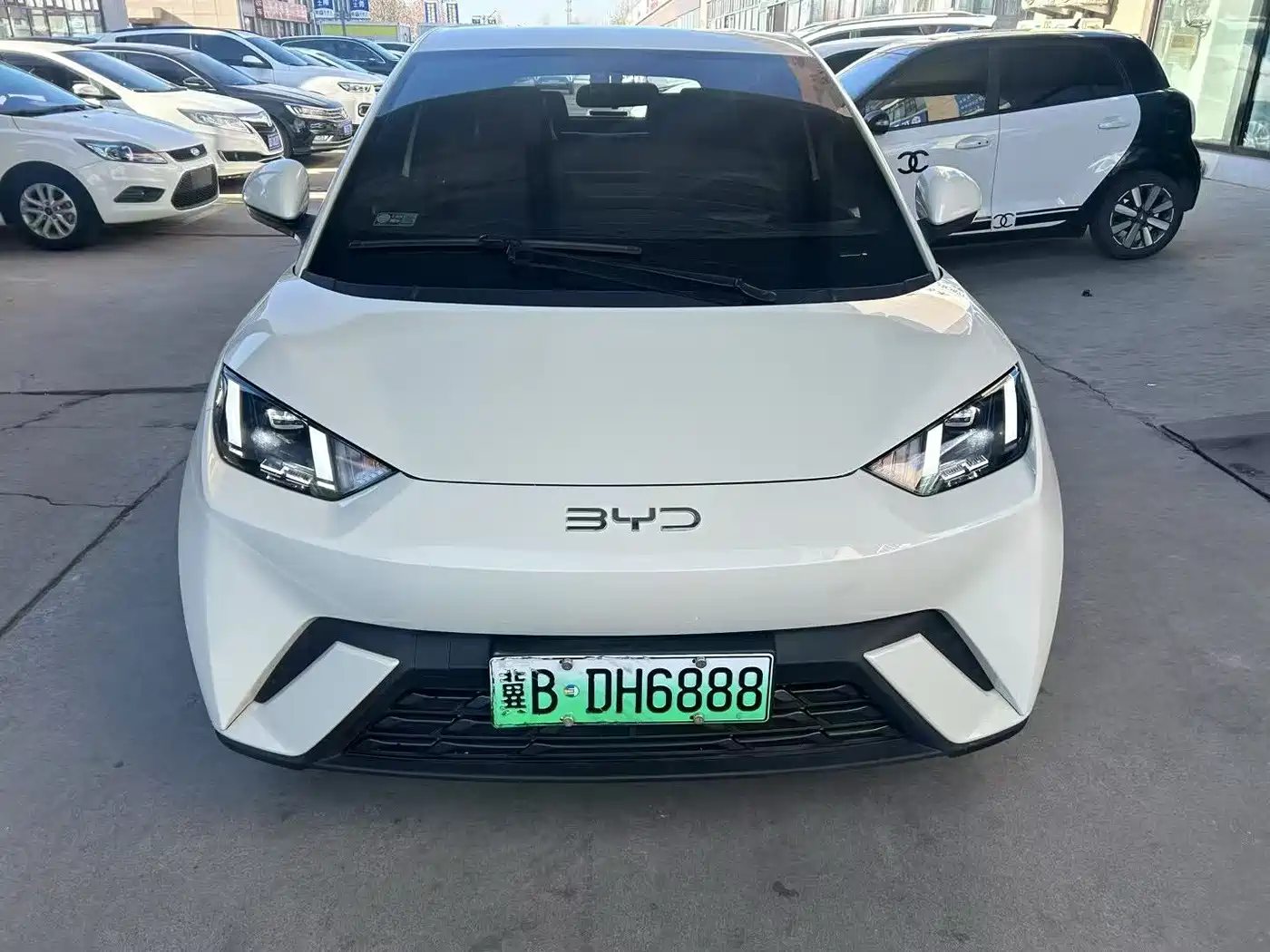 BYD Seagull 2024 Glory Edition 305km Freedom Edition фото 2