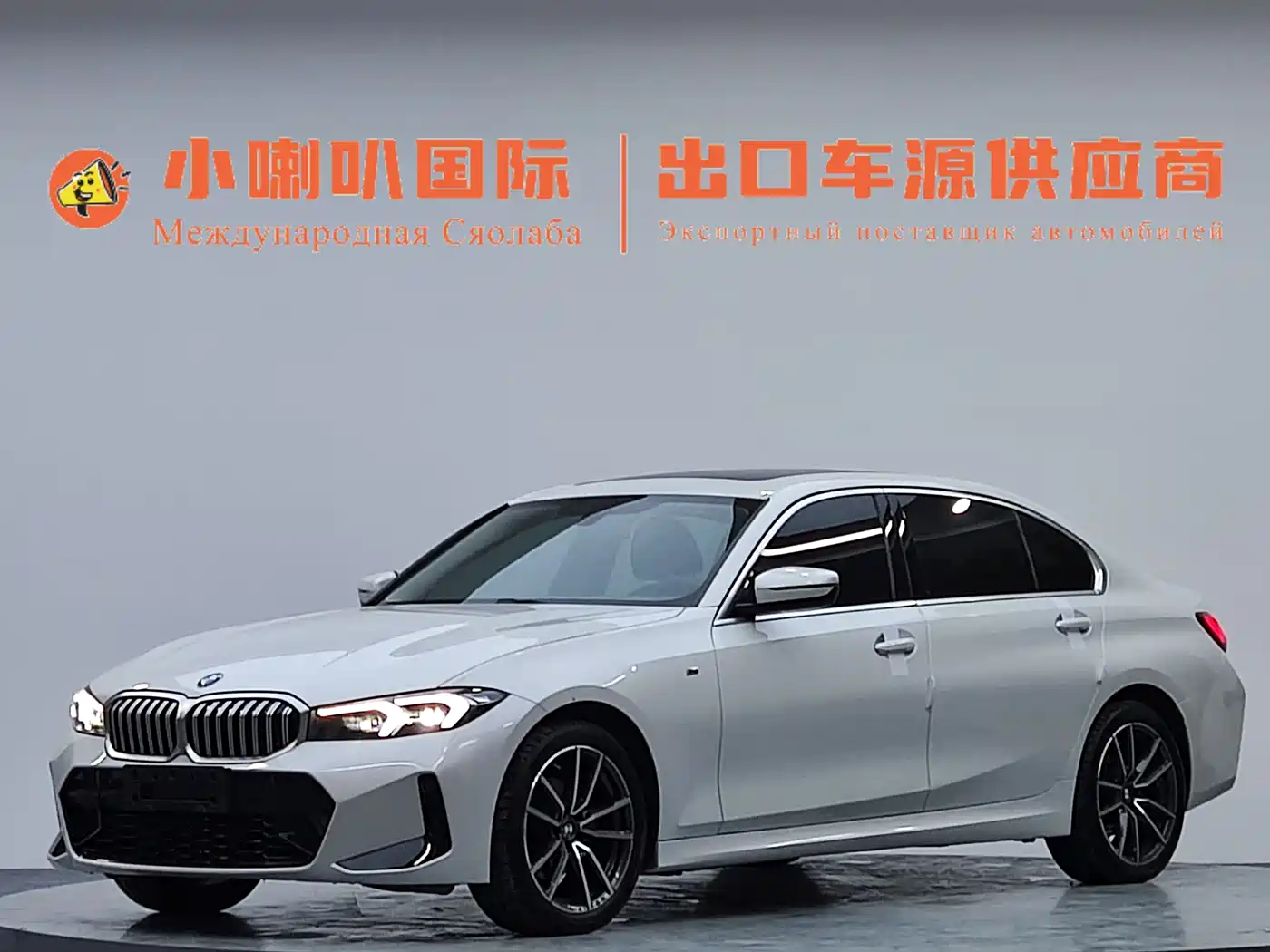 BMW 3 Series 2023 320Li M Sport Package