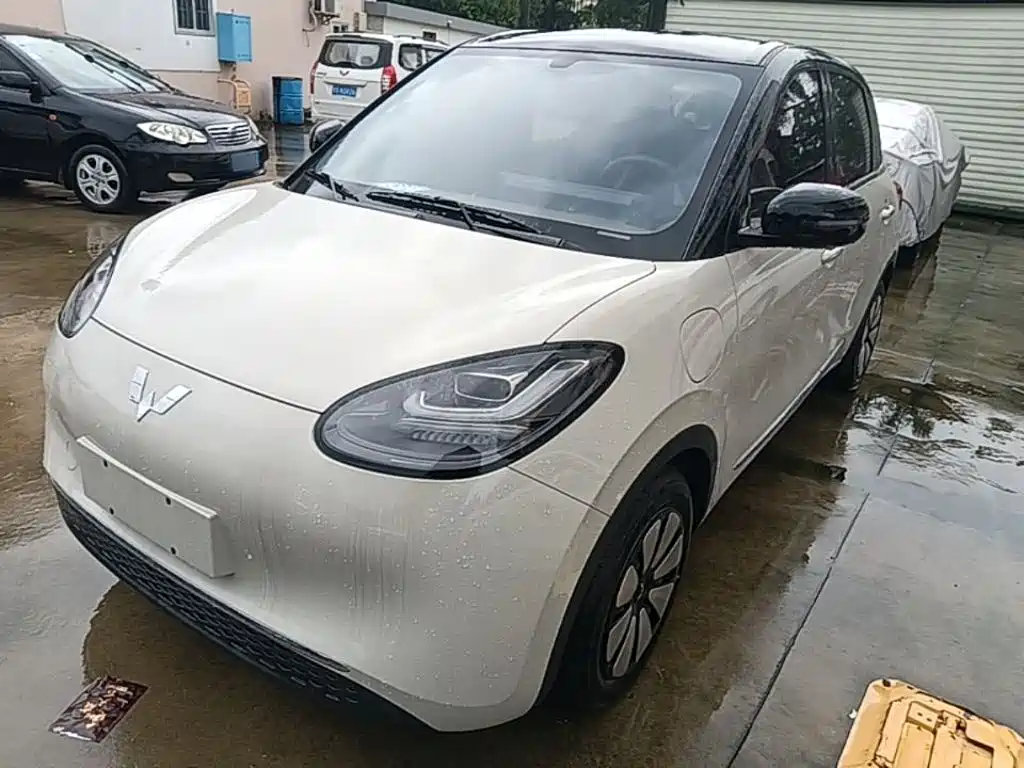 Wuling Motors Wuling Bingo 2024 333km Comfort Edition