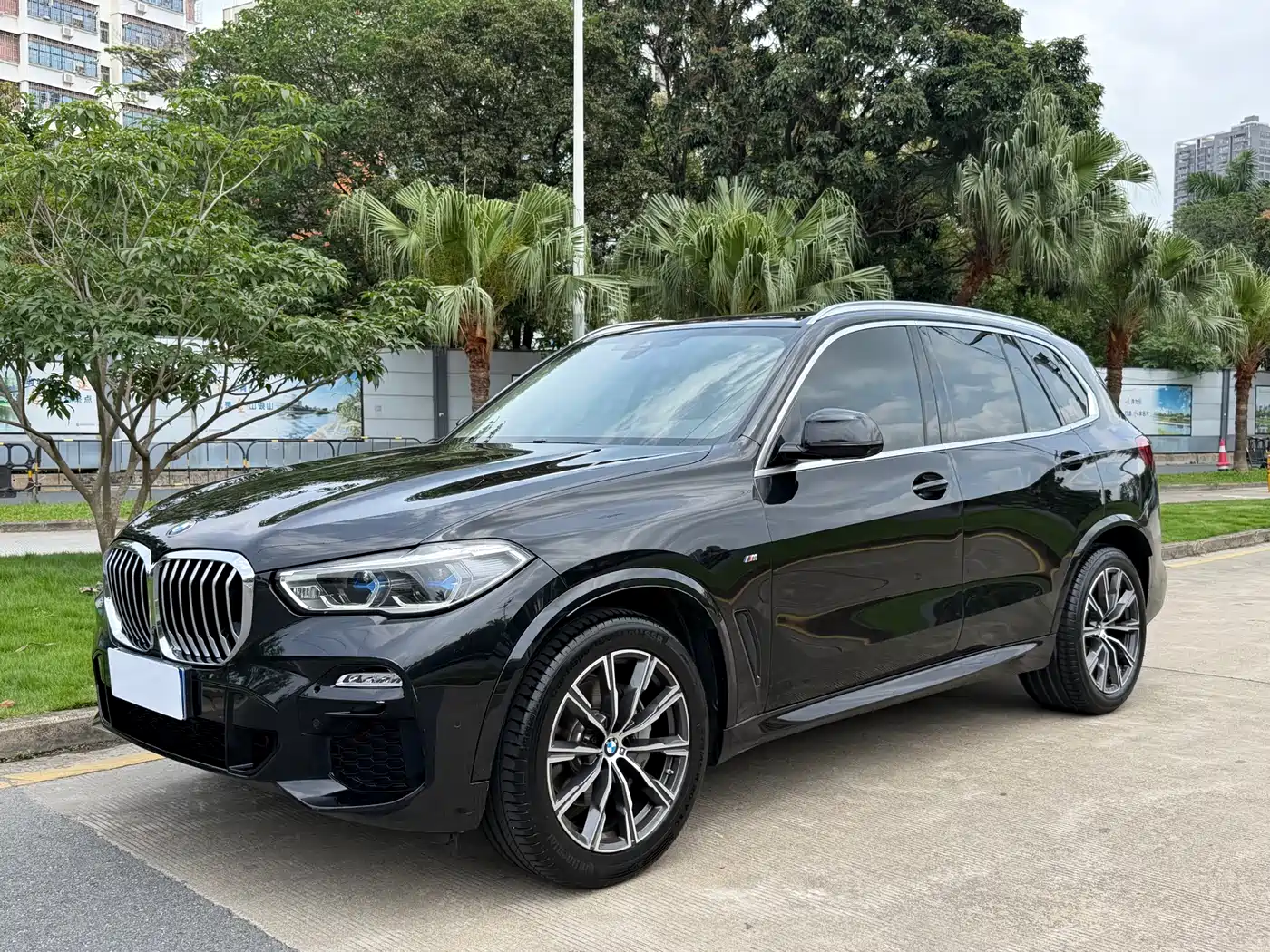 BMW X5 (Import) 2019 xDrive40i M Sport Package