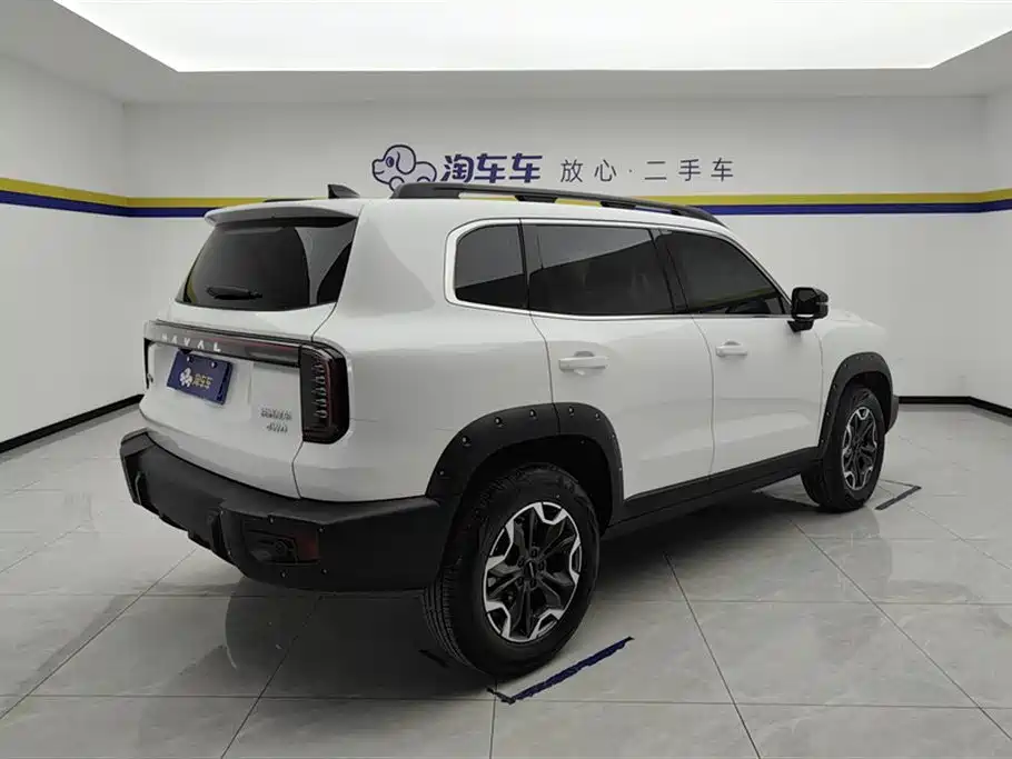 Haval Big Dog 2024 2.0T DCT Chinese Rural Dog Edition фото 3