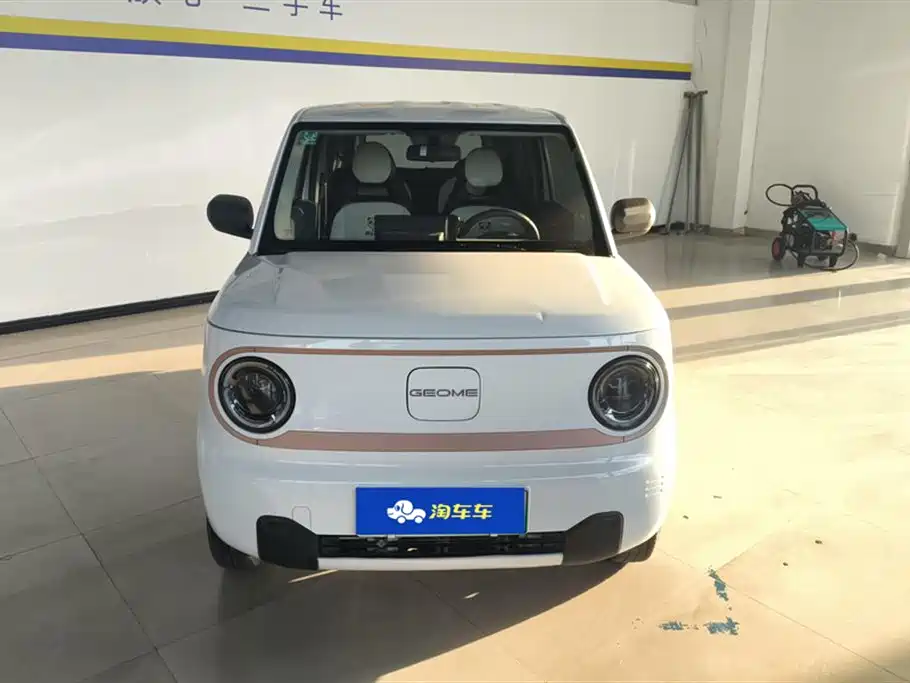 Geely Galaxy Panda 2024 Panda mini 200km Endurance Bear фото 2