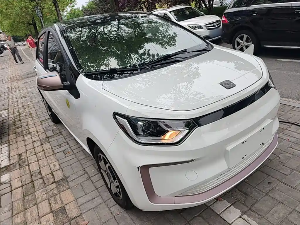 Sehol Flower Fairy 2022 2021 Jimei Edition 302km Luxury