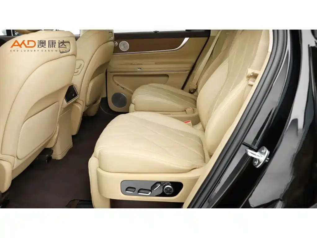 AITO Wenjie AITO M9 2025 Extended Range Max 52kWh 6-Seater фото 7