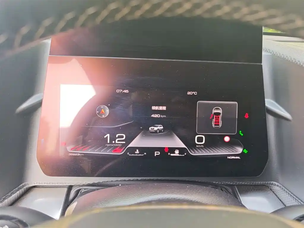 Haval Big Dog 2021 1.5T DCT 2WD Malinois Edition фото 8