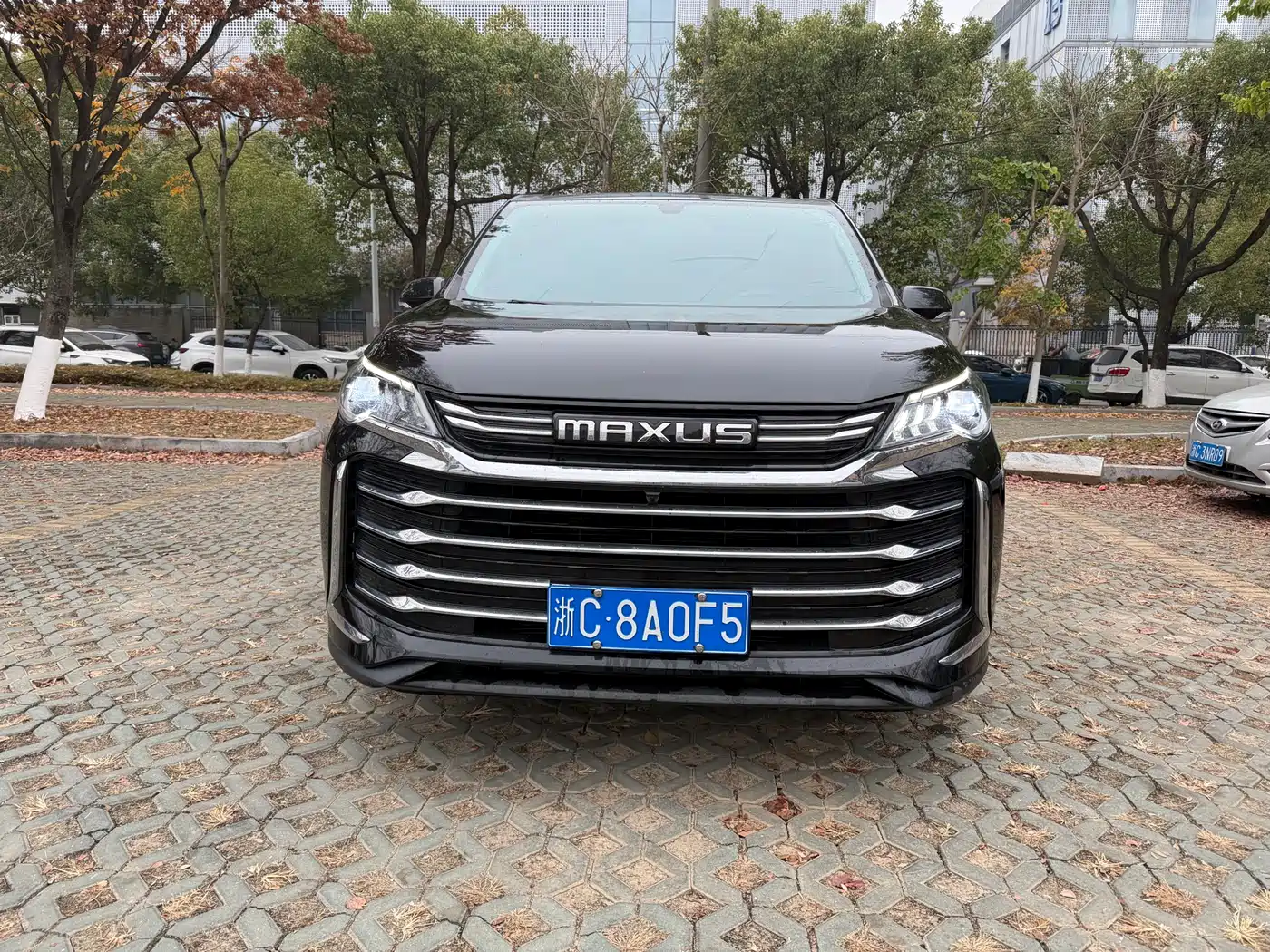 SAIC MAXUS CHASE G50