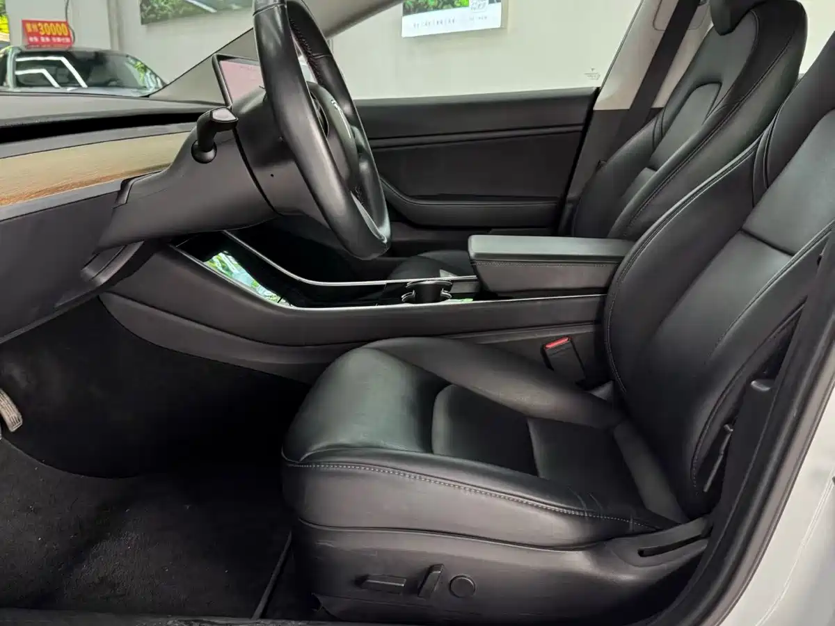 Tesla Model 3 (Import) 2019 2019 Long Range All-Wheel Drive Edition