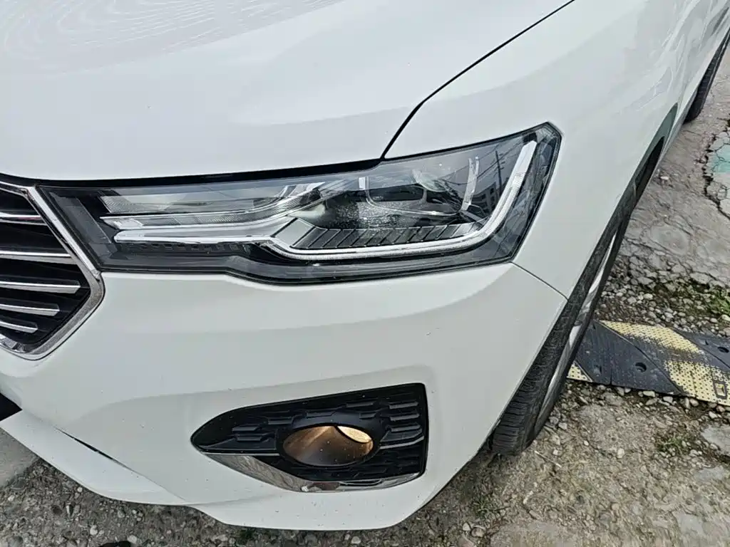 Haval H4 2019 2019 1.5GDIT DCT Luxury Smart Connection China VI