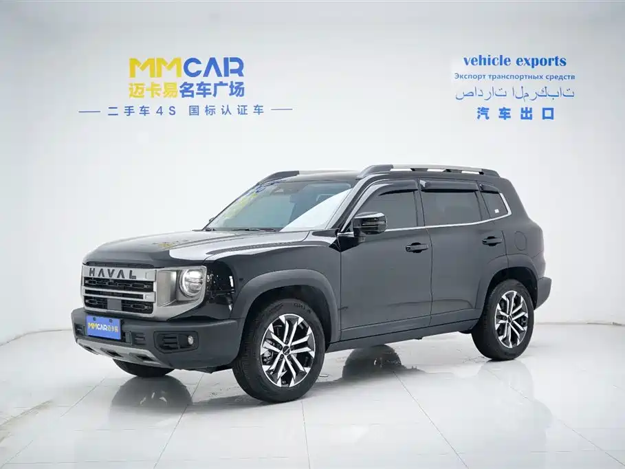 Haval Big Dog 2024 1.5T DCT Border Collie Edition