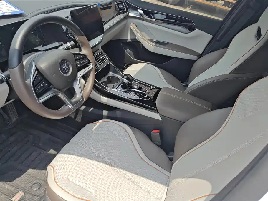BYD Qin PLUS 2024 Glory Edition EV 420KM Leading фото 12