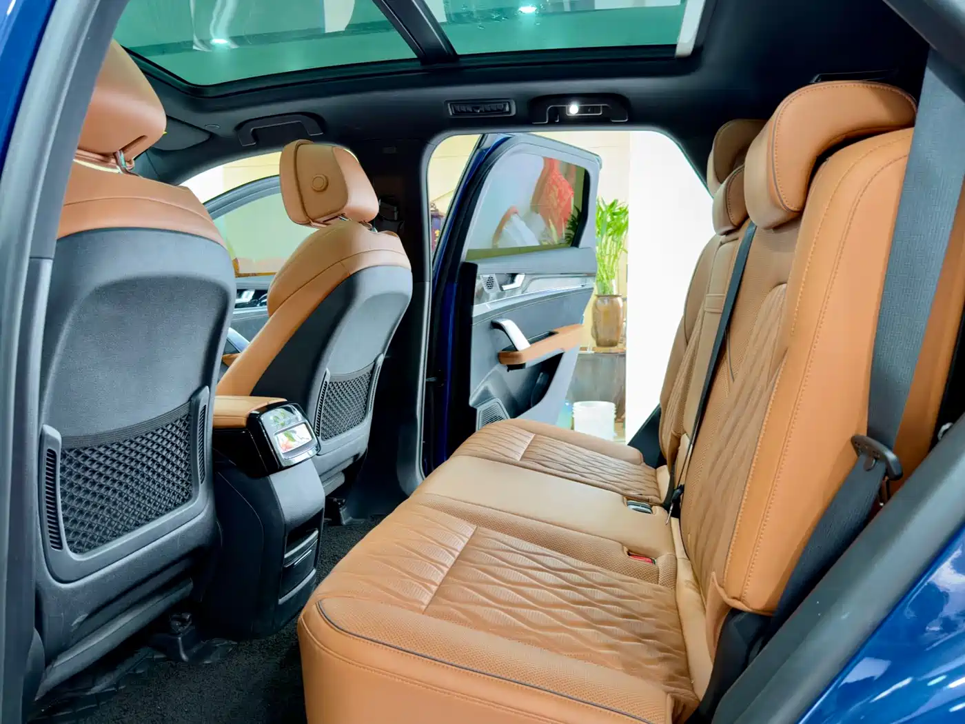 BYD Tang New Energy 2022 DM-p 215KM AWD Executive фото 6