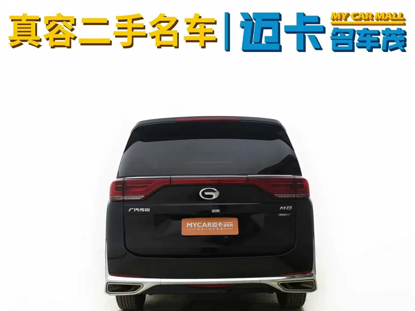 GAC Trumpchi Trumpchi M8 2023 Leading Series 390T Premium Edition фото 14