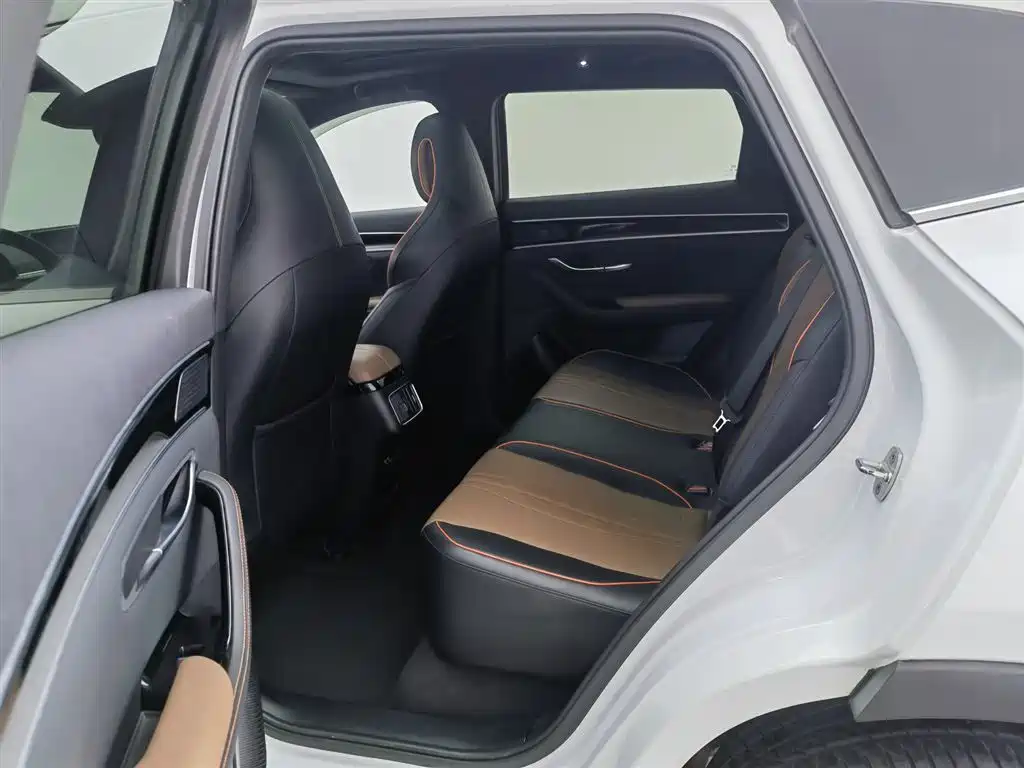 BYD Song PLUS 2020 1.5T Automatic Premium фото 15