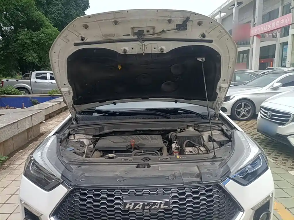 Haval H6 Coupe 2019 1.5T Auto 2WD Luxury Smart Edition China VI фото 20