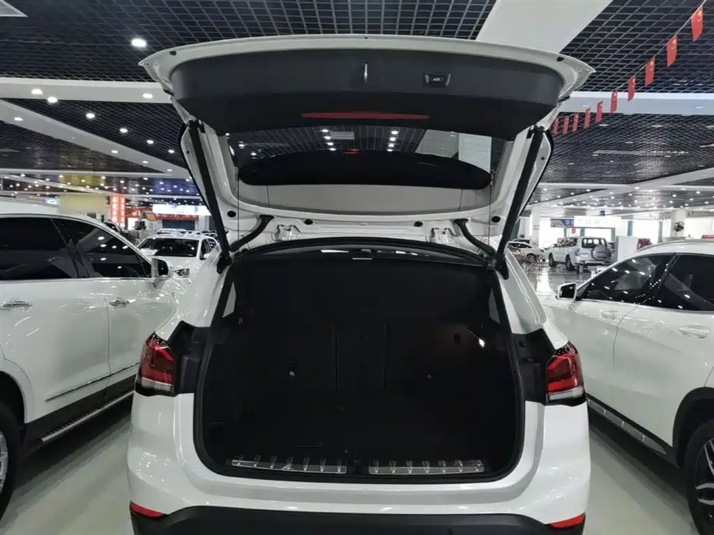 BMW X1 New Energy 2020 xDrive30Le Premium Edition фото 19