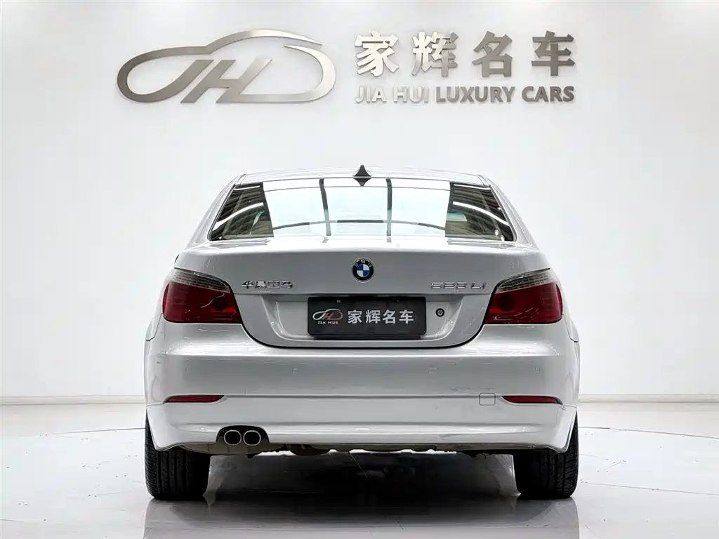 BMW 5 Series 2008 523Li Luxury фото 6