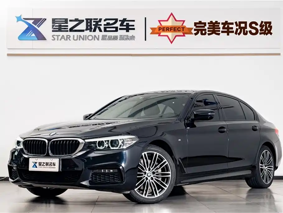 BMW 5 Series 2019 530Li Leading M Sport Package