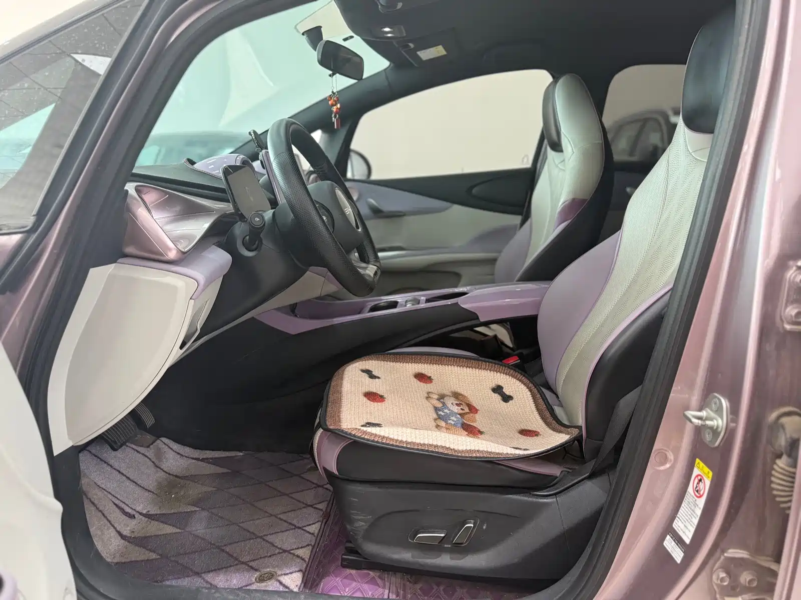 Фото 2 - BYD Dolphin